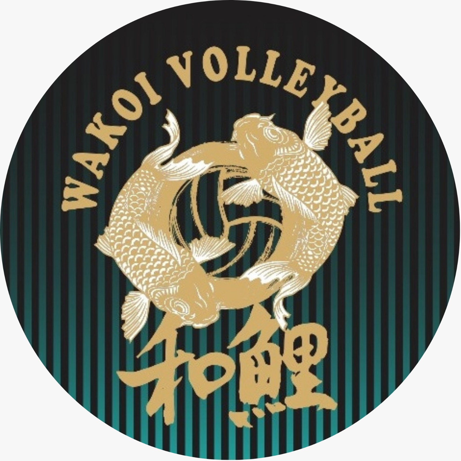 Escudo de Wakoi Acema